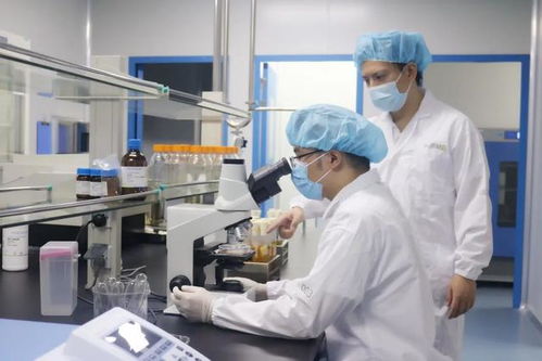 炼就一双慧眼 宝山环上大科技园如何加速实现从1到10的技术服务突破